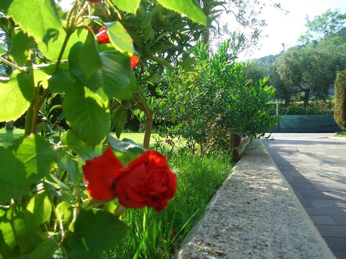Hotel Villa Verde Torbole Sul Garda Eksteriør billede